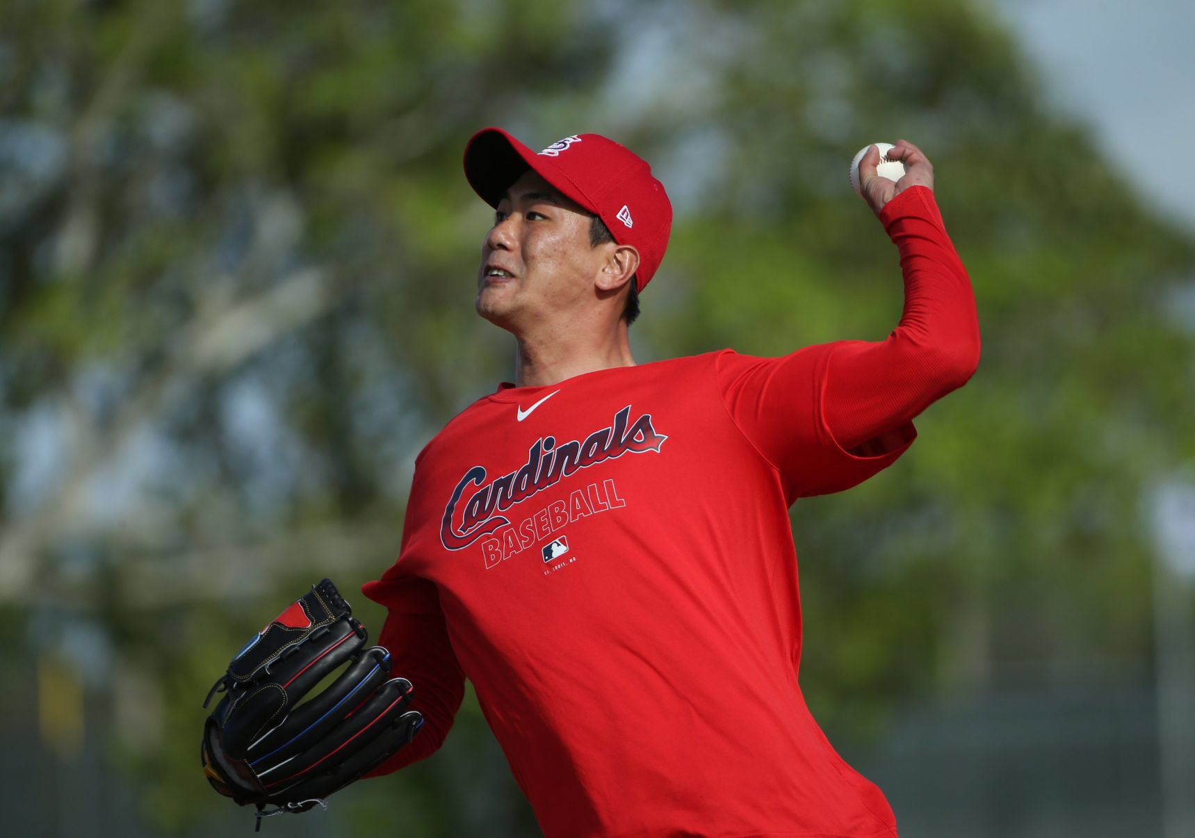 Cardinals pitchers and catchers report day
